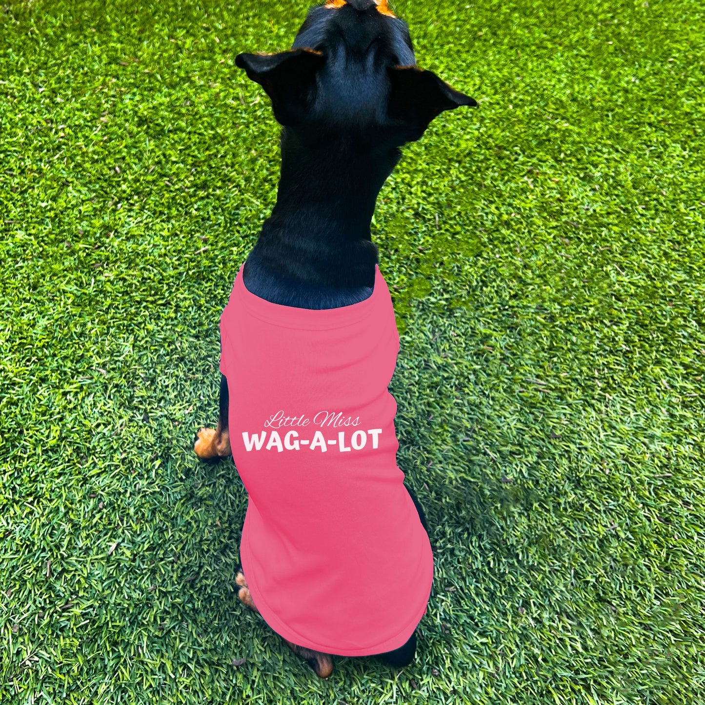 "Little Miss Wag-A-Lot" Dog Shirt