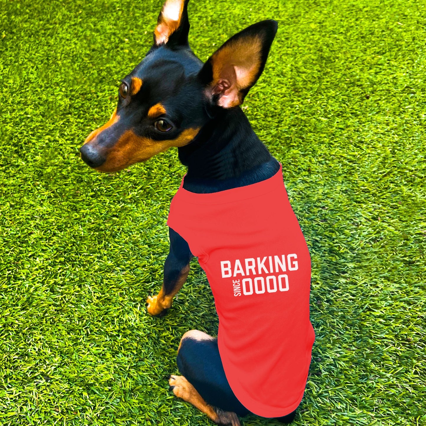 "Barking Since 0000" Custom Dog Shirt