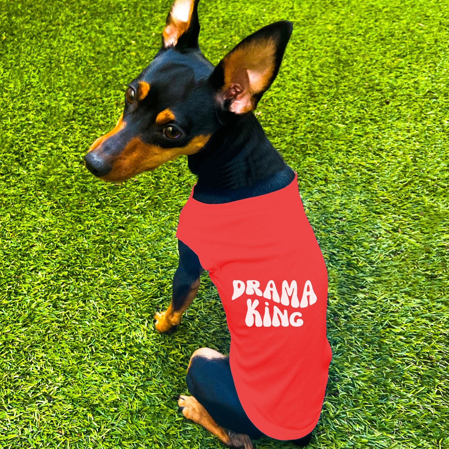 "Drama King" Retro Wave Dog Shirt