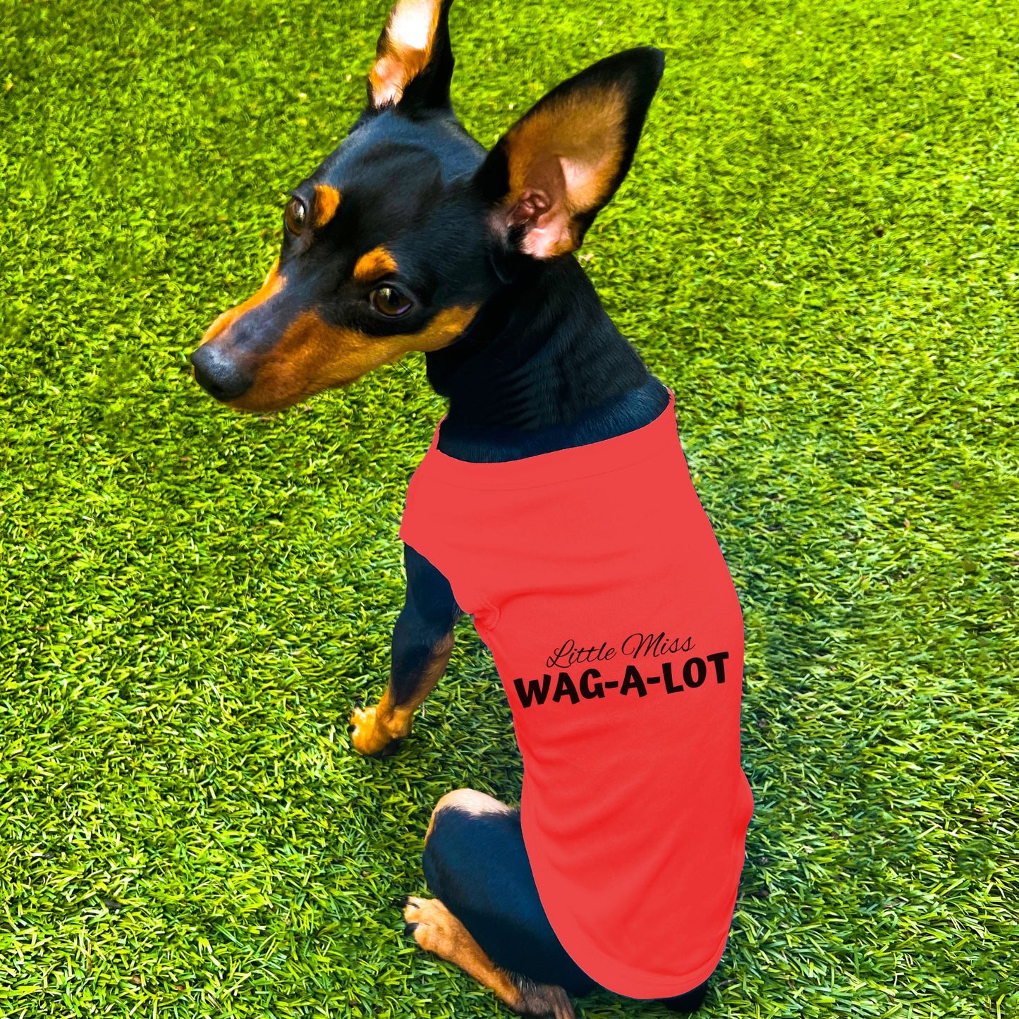 "Little Miss Wag-A-Lot" Dog Shirt