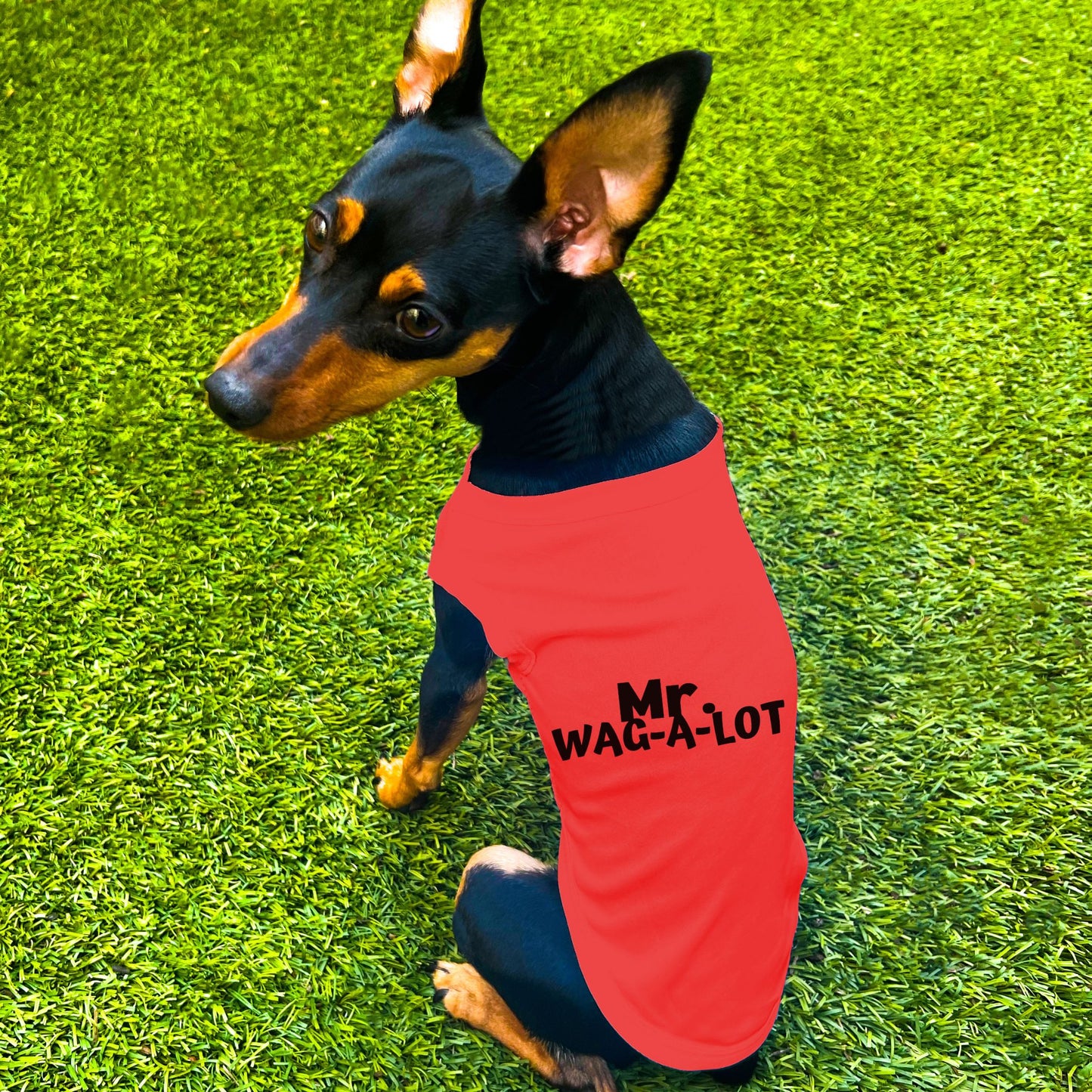 "Mr. Wag-A-Lot" Dog Shirt