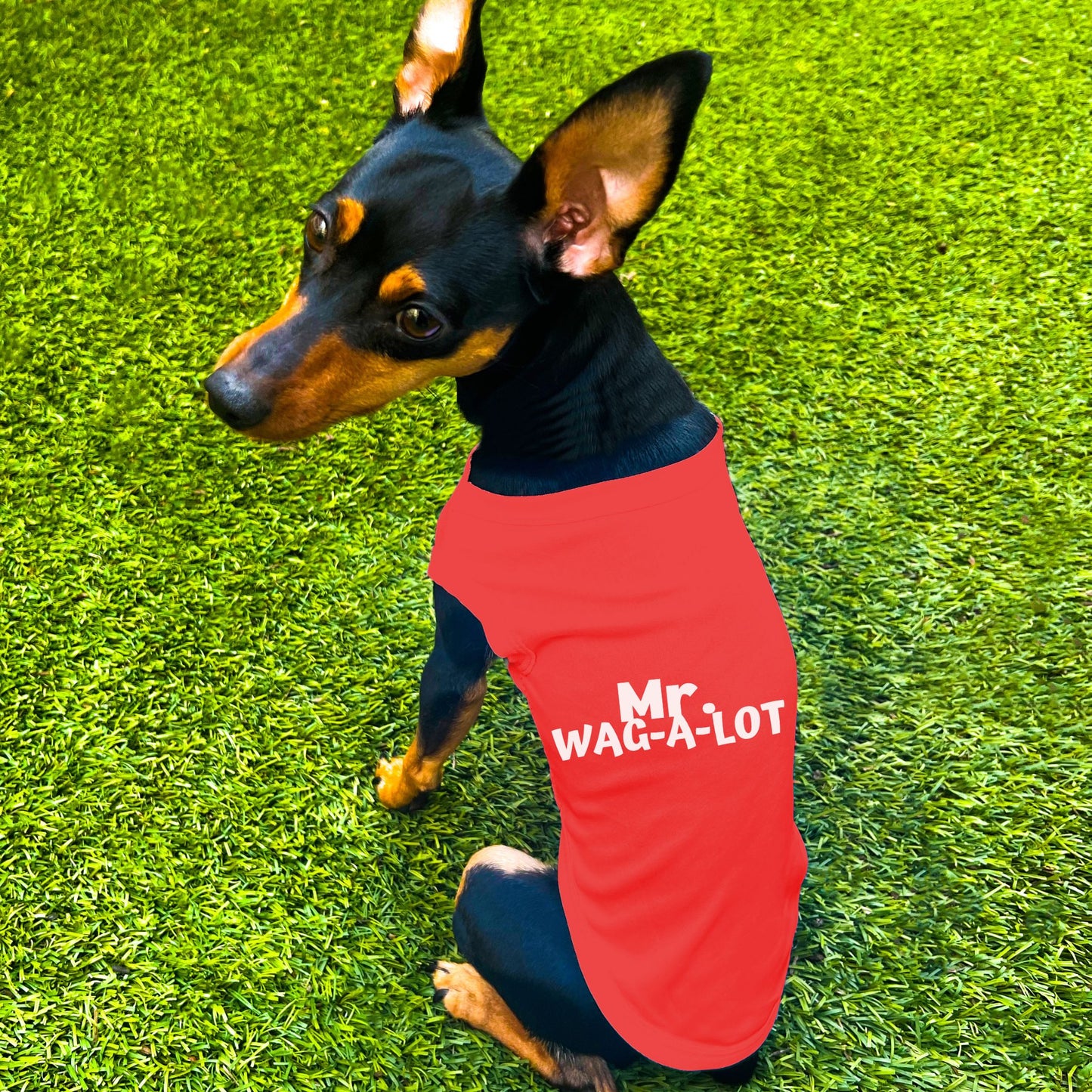 "Mr. Wag-A-Lot" Dog Shirt