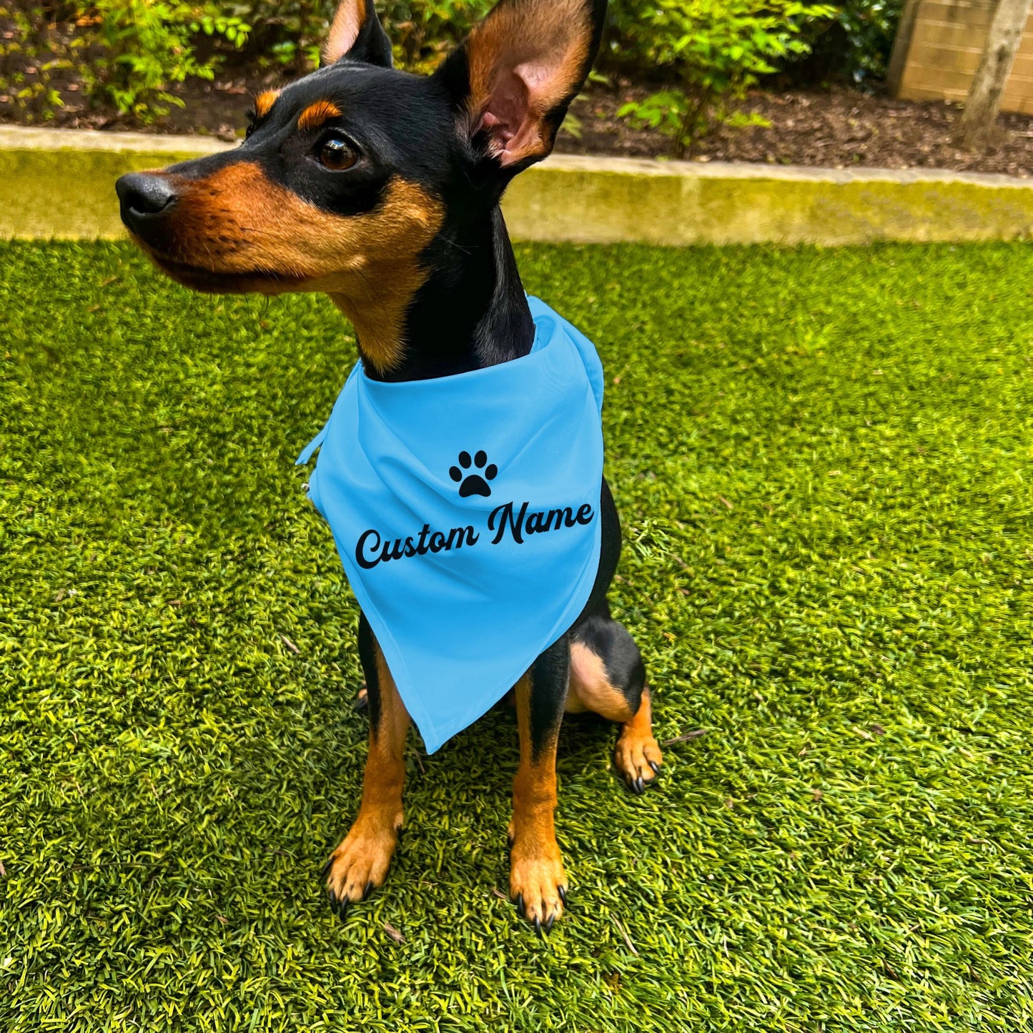 "Personalize Paw" Custom Dog Bandana