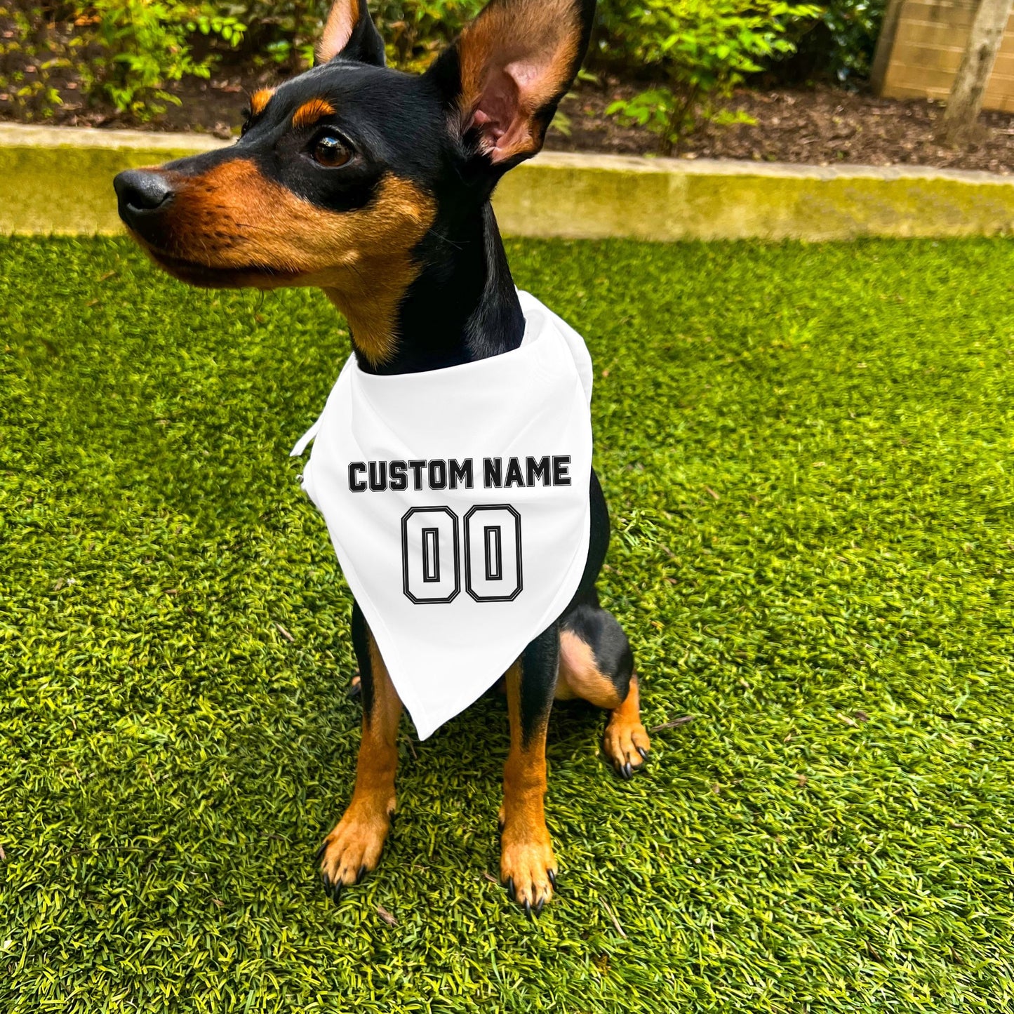 "Team Jersey 00" Custom Dog Bandana