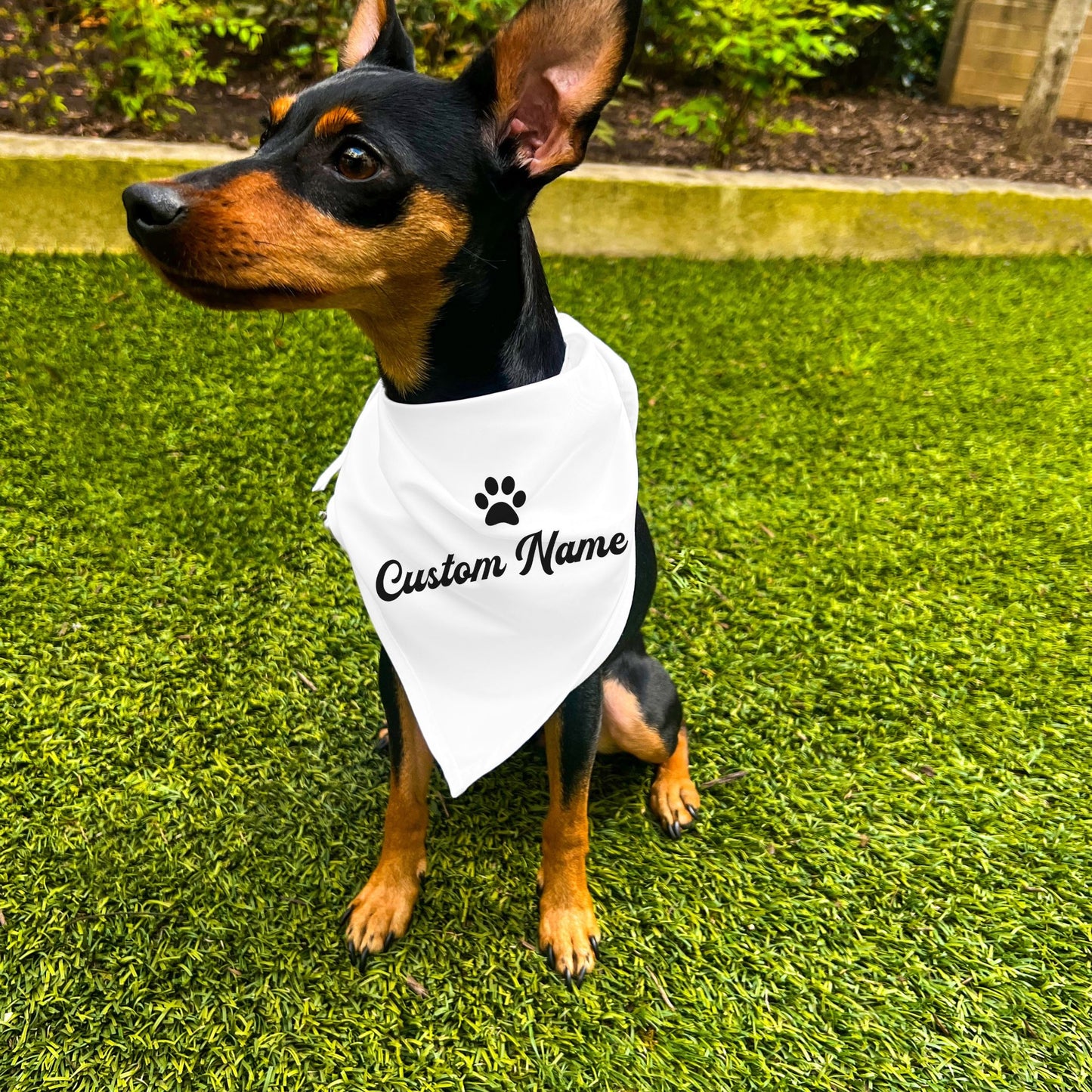 "Personalize Paw" Custom Dog Bandana