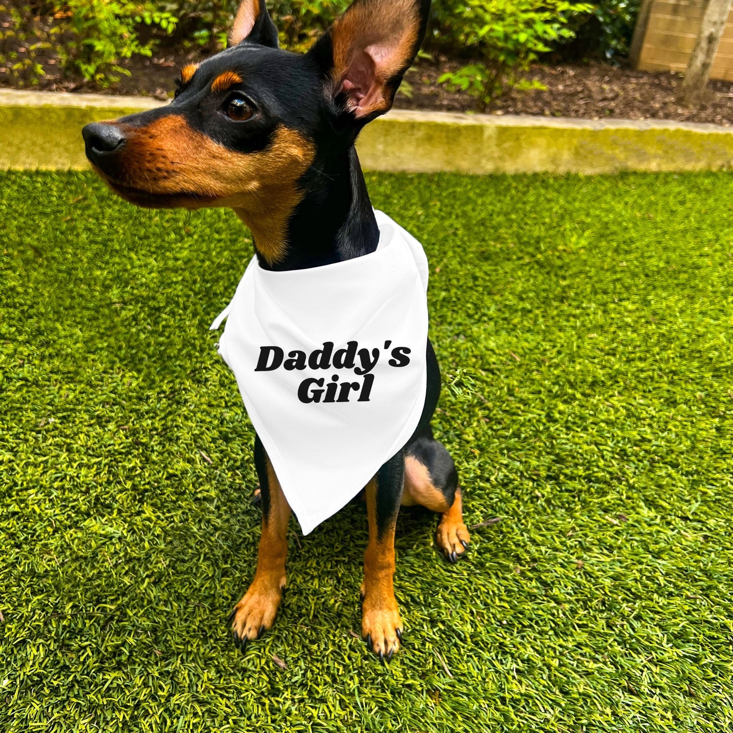 "Daddy's Girl" Dog Bandana