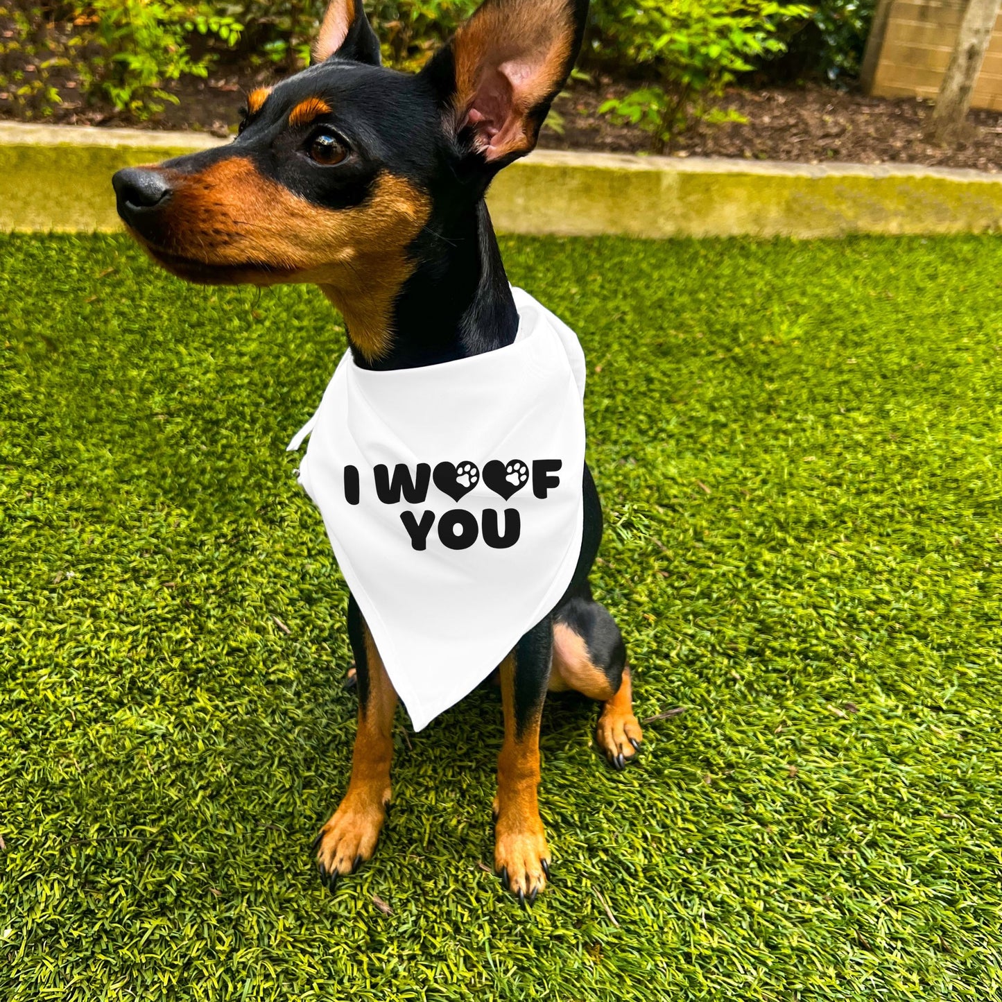 "I Woof You" Dog Bandana