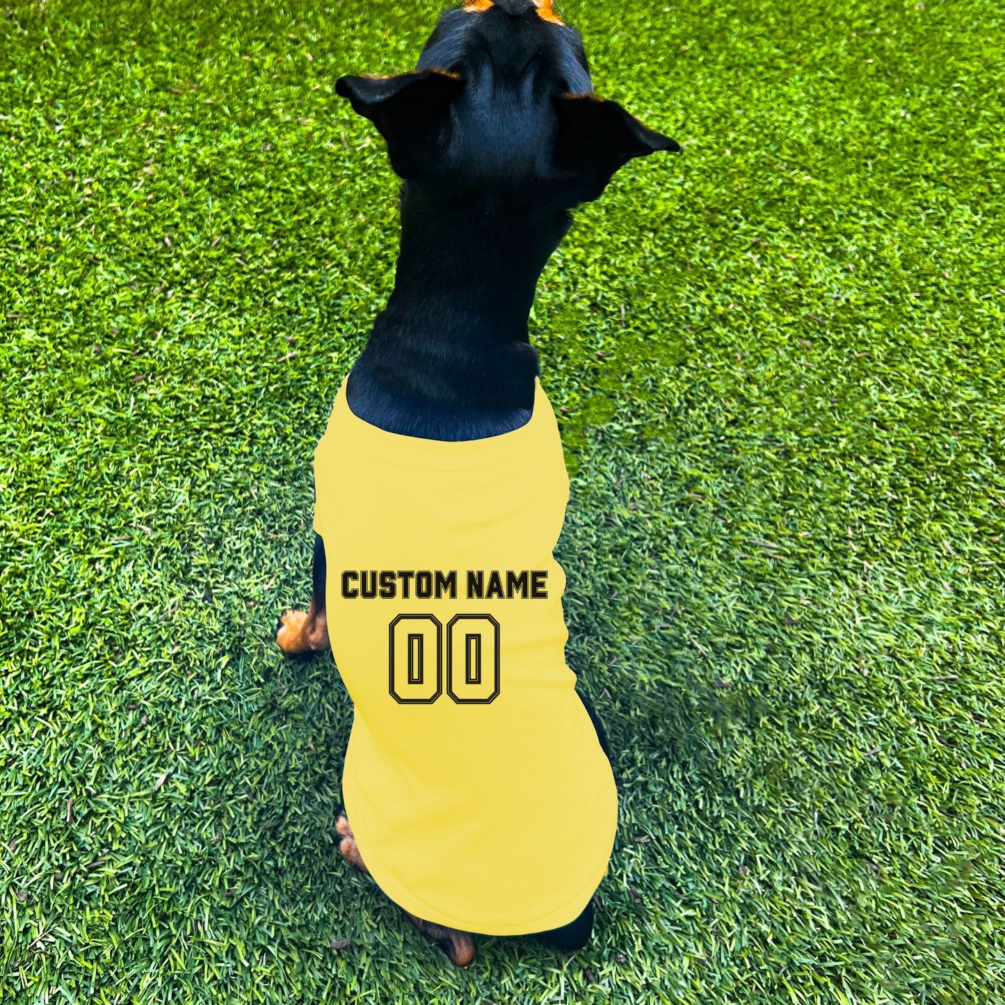 "Team Jersey 00" Custom Dog Shirt