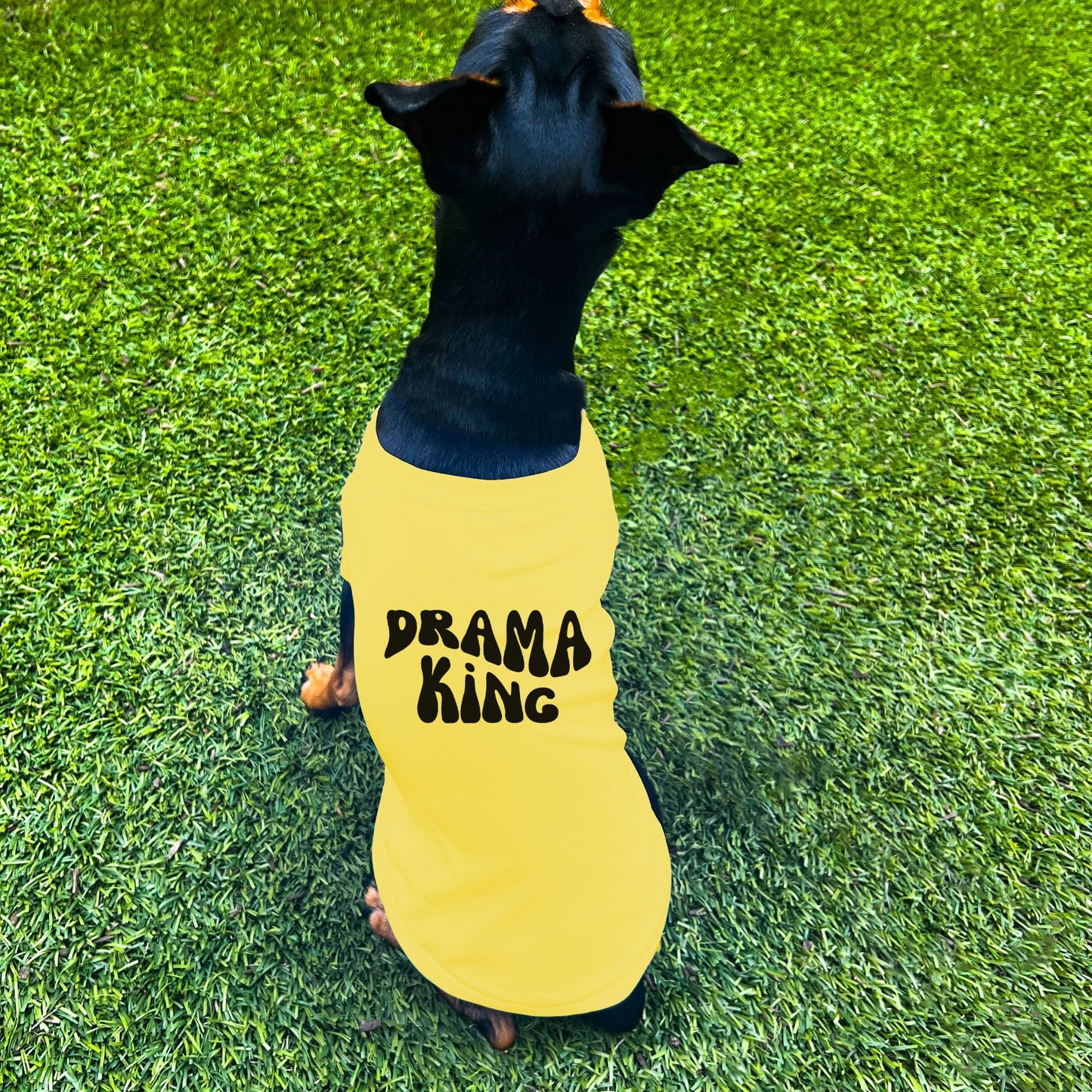 "Drama King" Retro Wave Dog Shirt