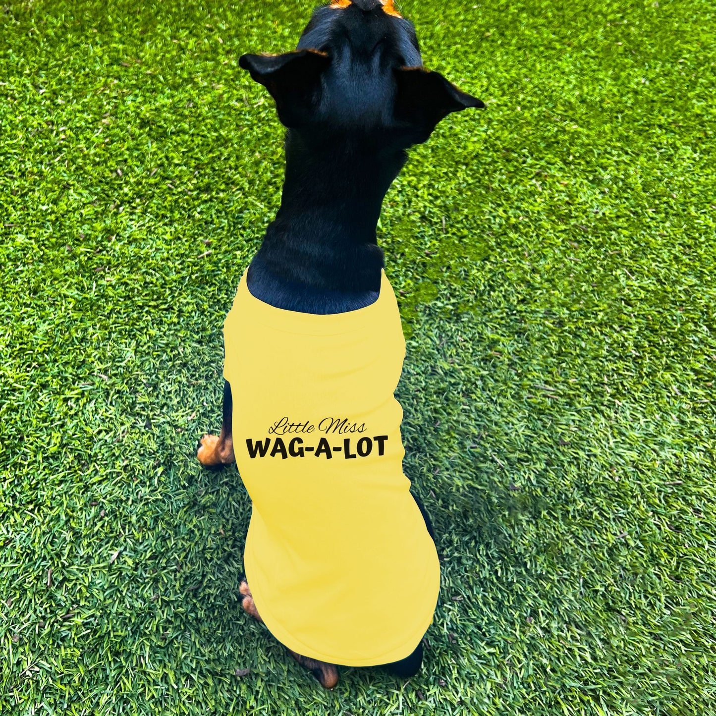 "Little Miss Wag-A-Lot" Dog Shirt