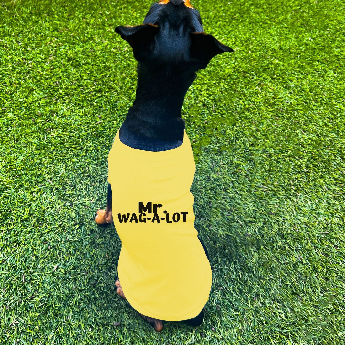 "Mr. Wag-A-Lot" Dog Shirt