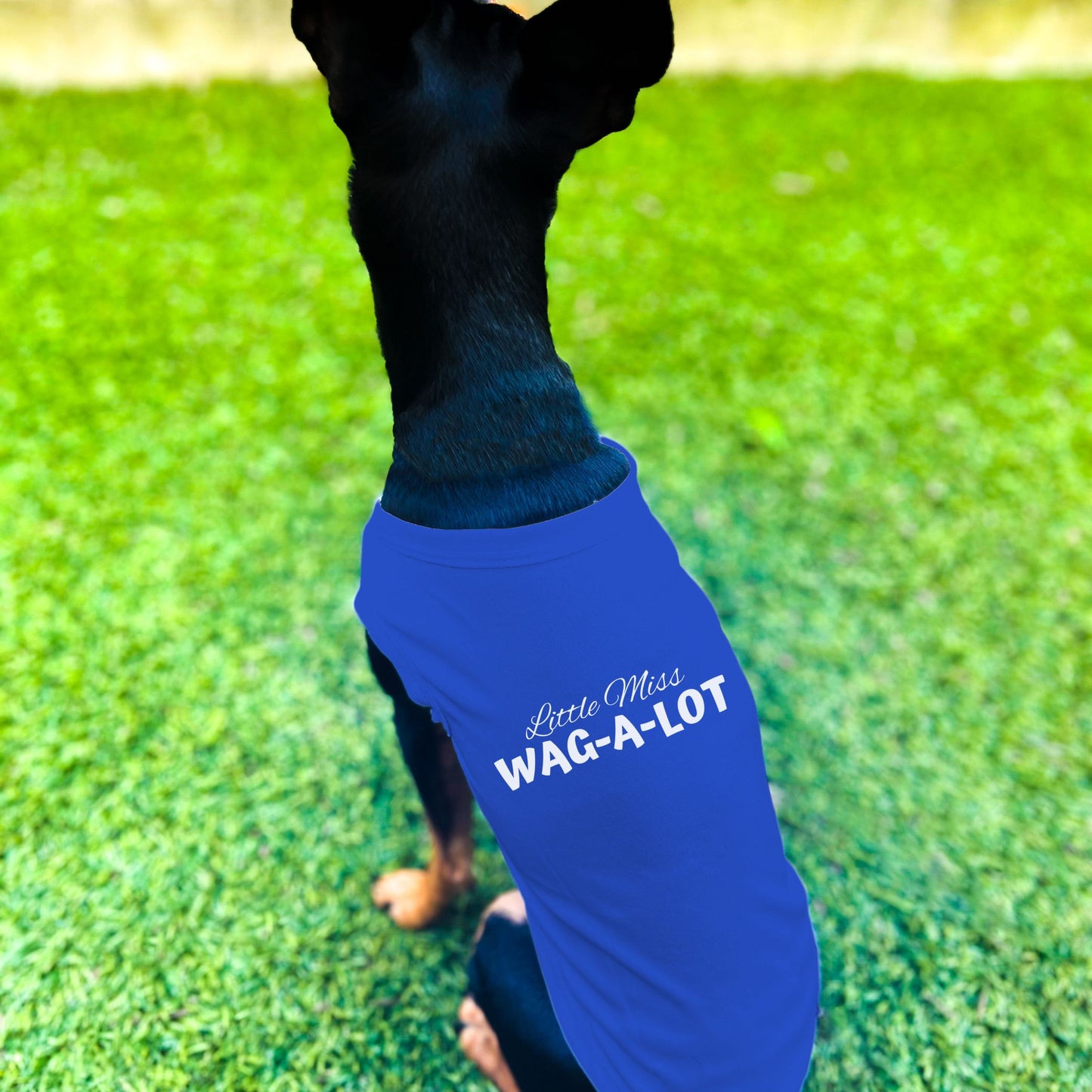 "Little Miss Wag-A-Lot" Dog Shirt