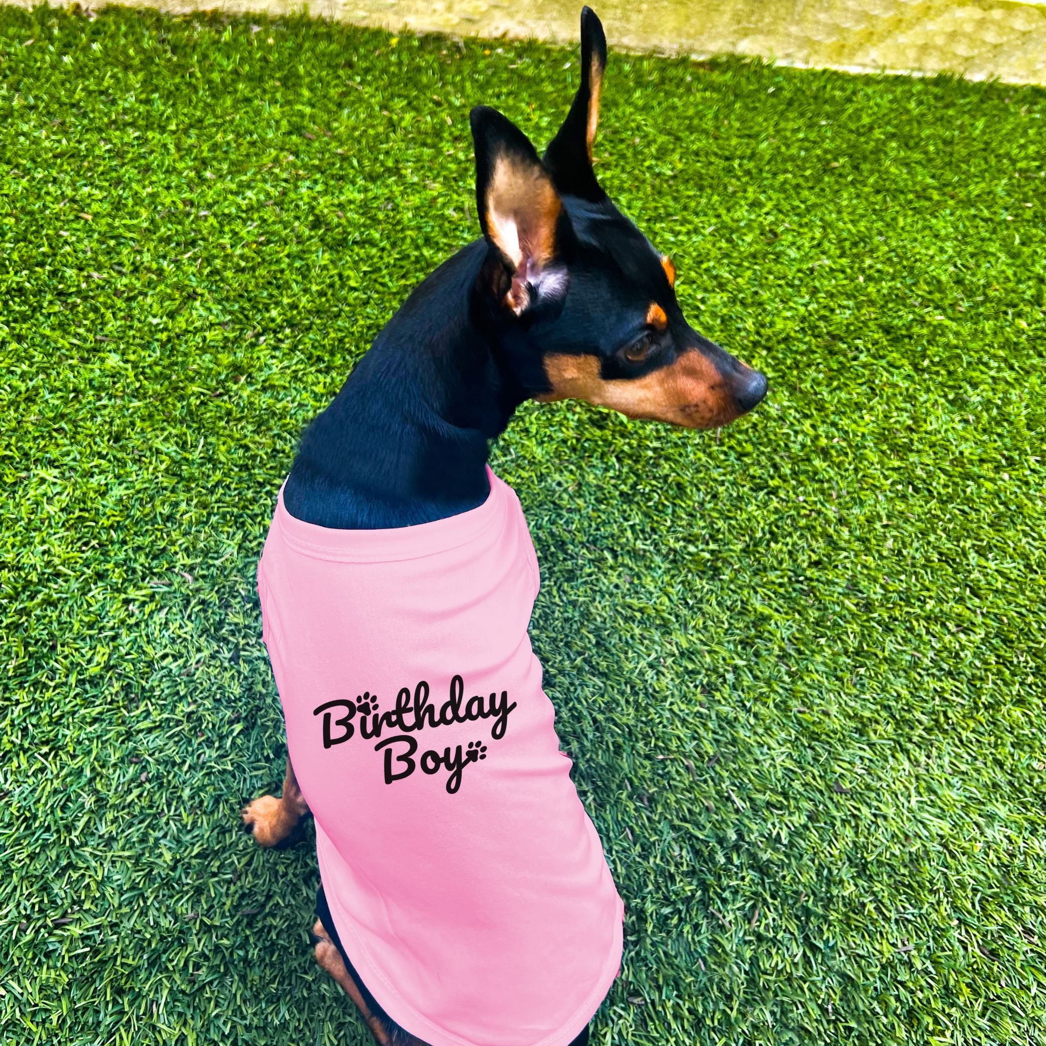 Dog birthday boy shirt best sale