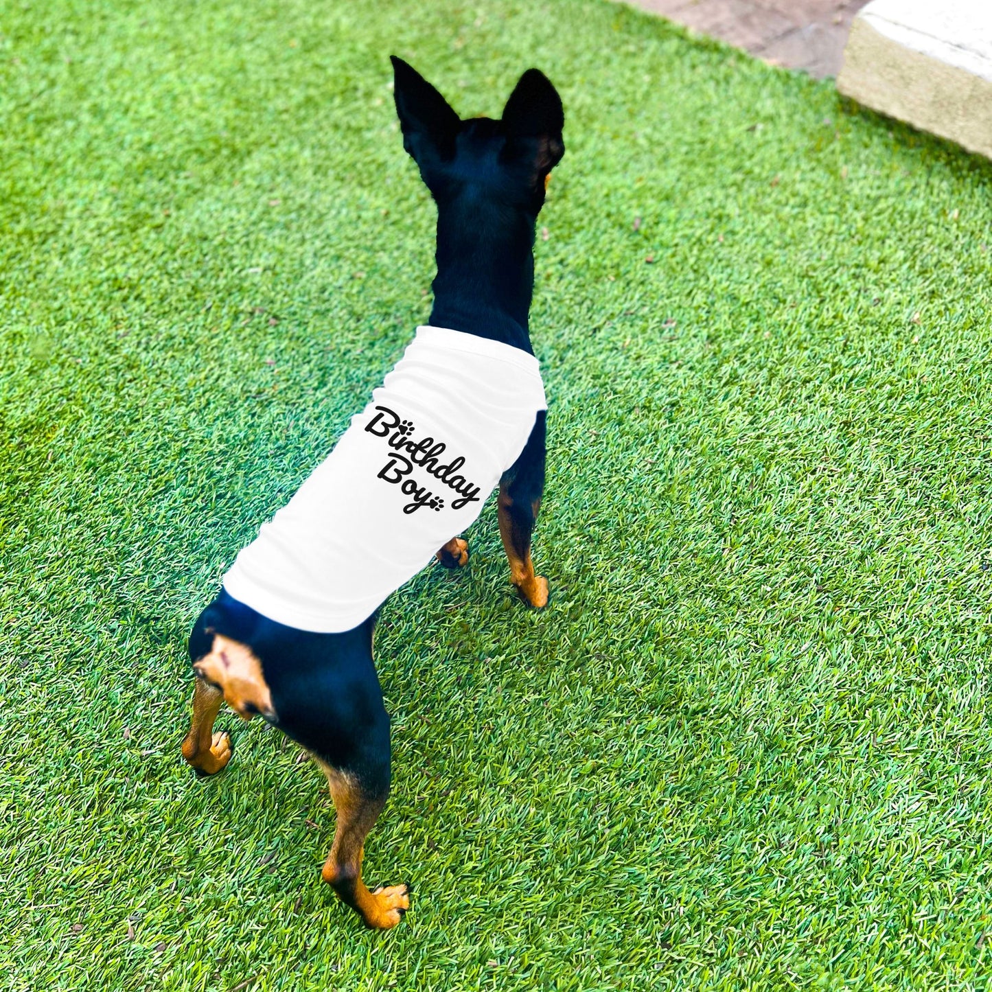 "Birthday Boy" Dog Shirt